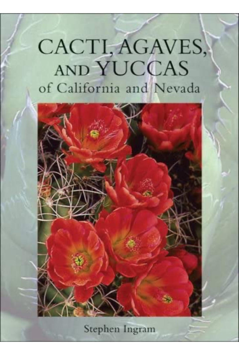Cacti, Agaves, and Yuccas of California and Nevada – Joshua Tree 
