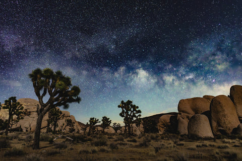 Hidden Valley, Milky Way by Ondine Jarl